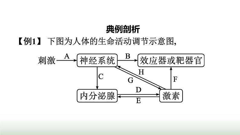 人教版高中生物选择性必修1微专题二动物生命活动调节模型的建构与分析课件08