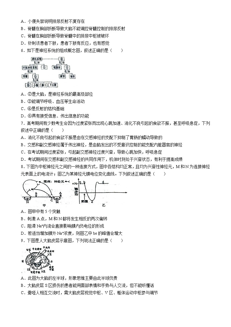 江苏省泰州市兴化市2024-2025学年高二上学期9月月考生物试题(无答案)02