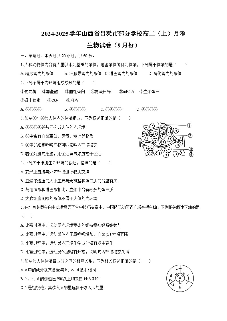 2024-2025学年山西省吕梁市部分学校高二(上)月考生物试卷(9月份)(含解析)01