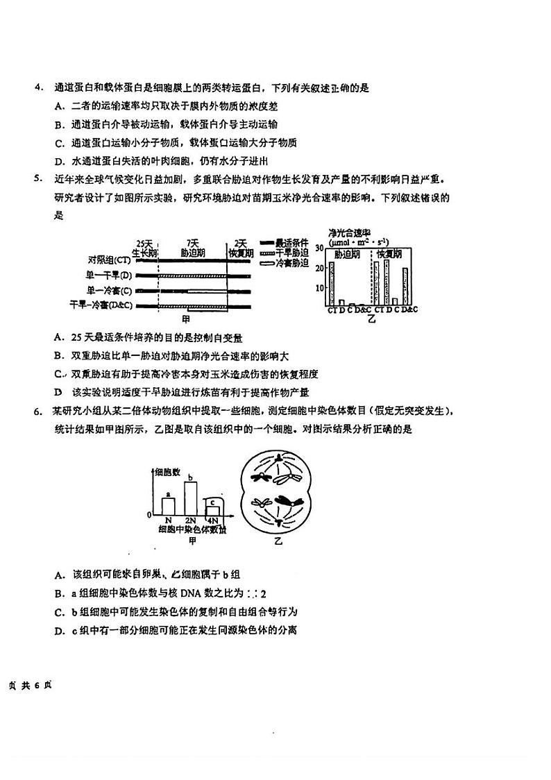 吉林省东北师范大学附属中学2024-2025学年高三上学期第一次摸底考试生物试卷第2页