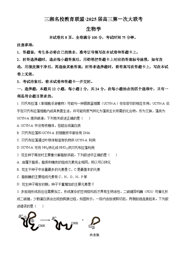 湖南省三湘名校教育联盟2024-2025学年高三上学期第一次大联考生物试题(Word版附答案)01