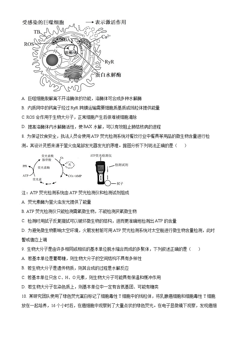 湖南省三湘名校教育联盟2024-2025学年高三上学期第一次大联考生物试题(Word版附答案)03