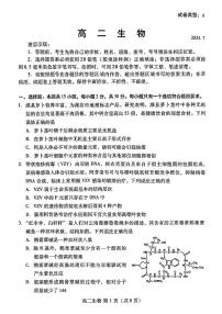 山东省潍坊市2023-2024学年高二下学期期末测试+生物试卷（含答案）