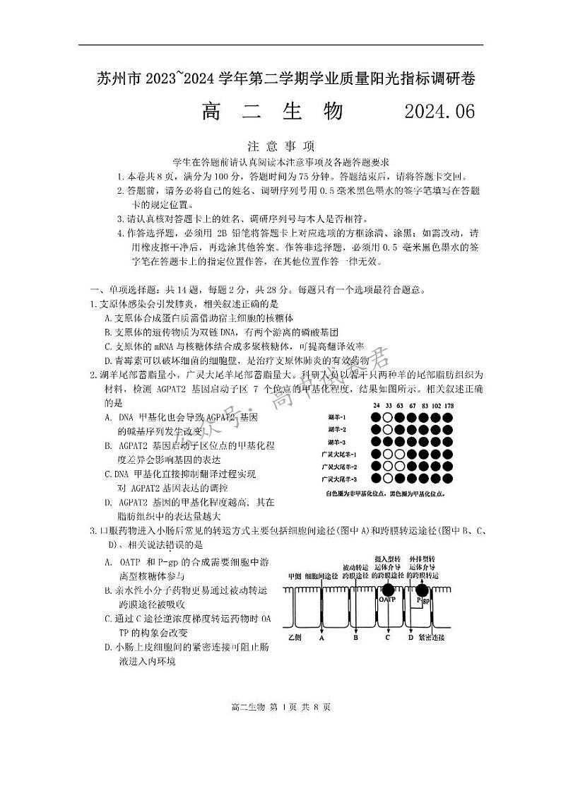 江苏省苏州市2023-2024学年高二年级下学期学业质量阳光指标调研卷暨6月期末考试+生物试卷第1页