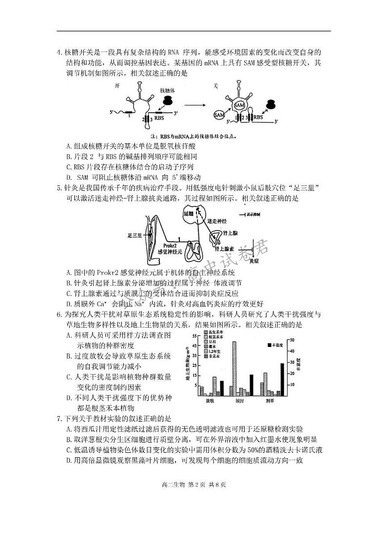江苏省苏州市2023-2024学年高二年级下学期学业质量阳光指标调研卷暨6月期末考试+生物试卷第2页