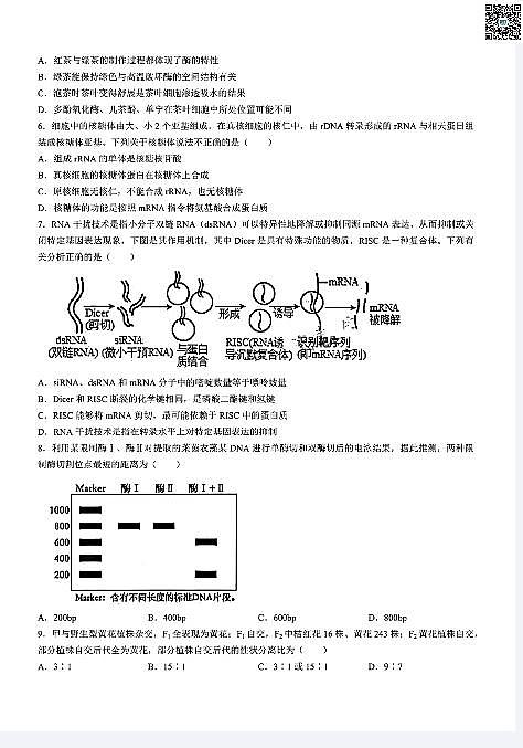 湖北省武汉市江岸区2023-2024学年高二下学期7月期末考试+生物试卷(含答案)第2页