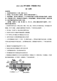 辽宁省锦州市2023-2024学年高二下学期期末考试+生物试卷（含答案）