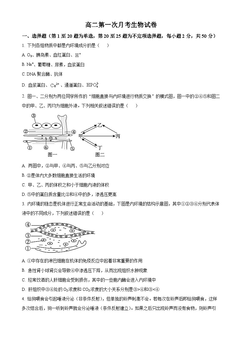 云南省宣威市长征中学2024-2025学年高二上学期9月第一次月考生物试题(原卷版)第1页