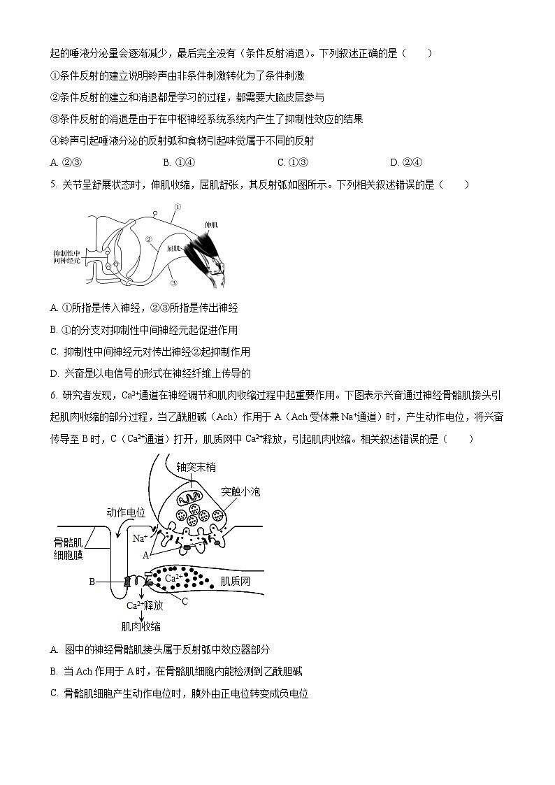 云南省宣威市长征中学2024-2025学年高二上学期9月第一次月考生物试题(原卷版)第2页