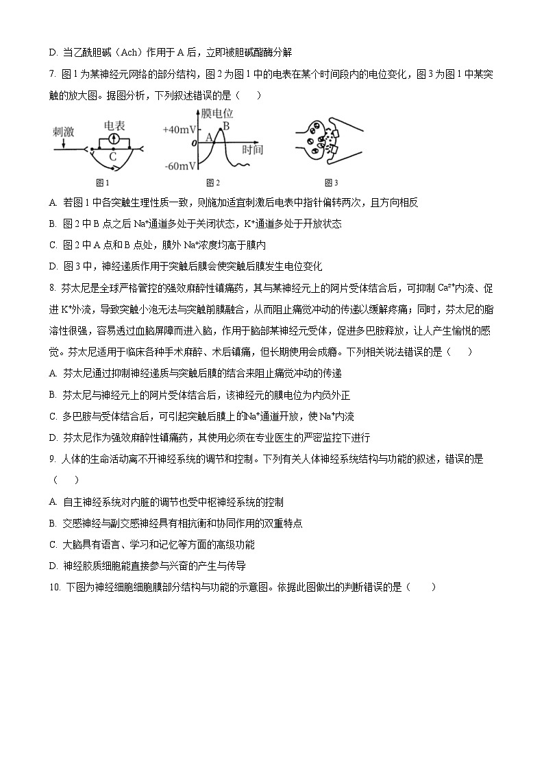 云南省宣威市长征中学2024-2025学年高二上学期9月第一次月考生物试题(原卷版)第3页