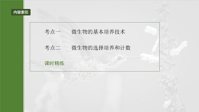 2025届高三生物一轮复习课件第十单元 第57课时 微生物的培养技术与应用第3页