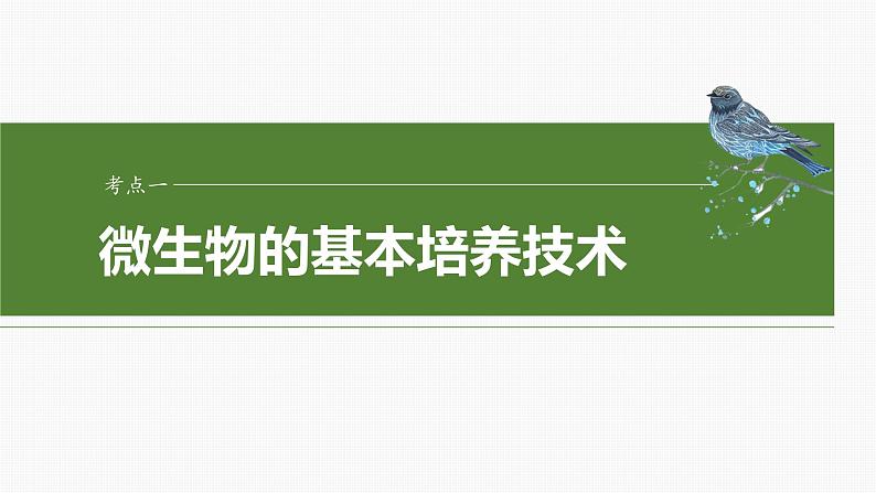 2025届高三生物一轮复习课件第十单元 第57课时 微生物的培养技术与应用第4页