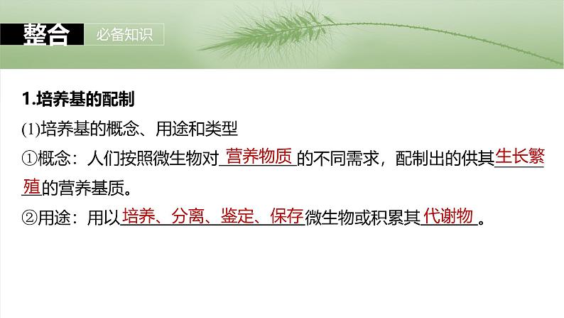 2025届高三生物一轮复习课件第十单元 第57课时 微生物的培养技术与应用第5页