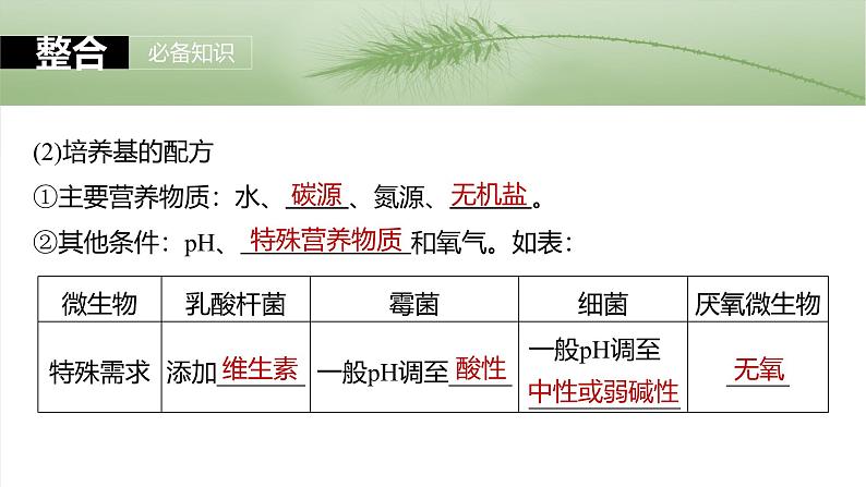2025届高三生物一轮复习课件第十单元 第57课时 微生物的培养技术与应用第7页