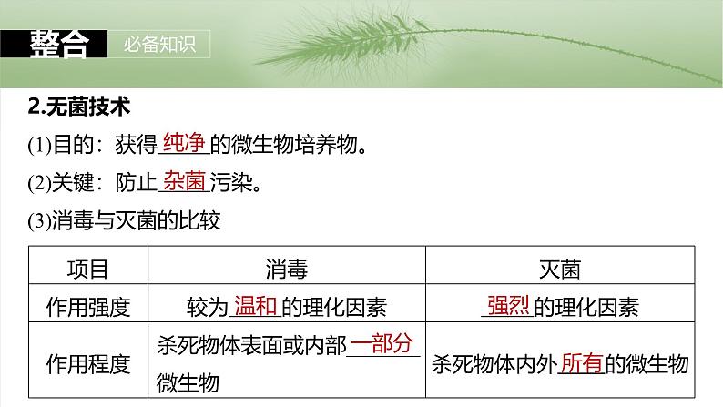 2025届高三生物一轮复习课件第十单元 第57课时 微生物的培养技术与应用第8页