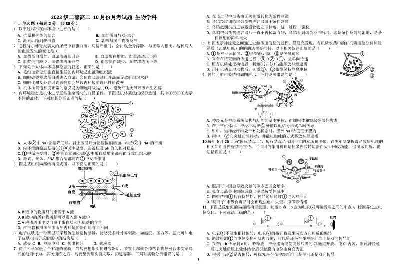 山东省淄博市高青县第一中学2024-2025学年高二上学期10月份月考生物试题第1页