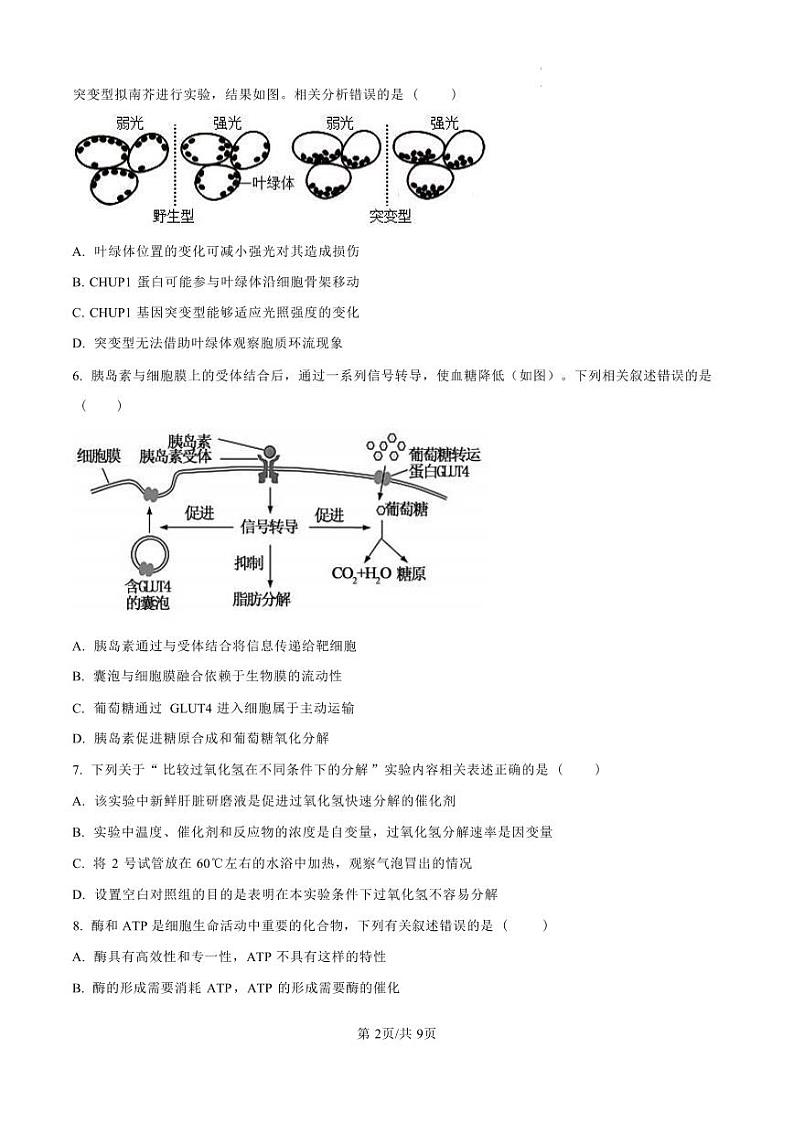 生物丨湖南省长沙市周南教集团周南中学2025届高三10第二阶段考试暨月考生物试卷及答案第2页