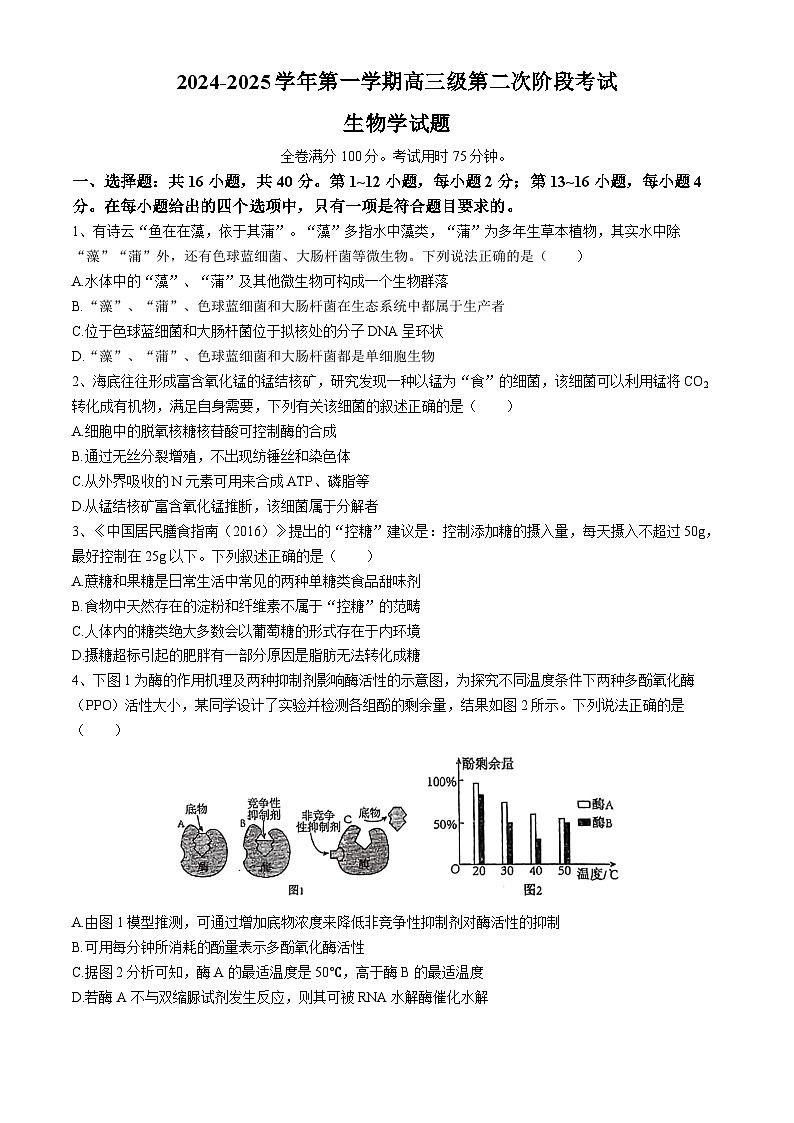 广东省揭阳市惠来县第一中学2024-2025学年高三上学期10月第二次阶段考试生物试题(无答案)第1页