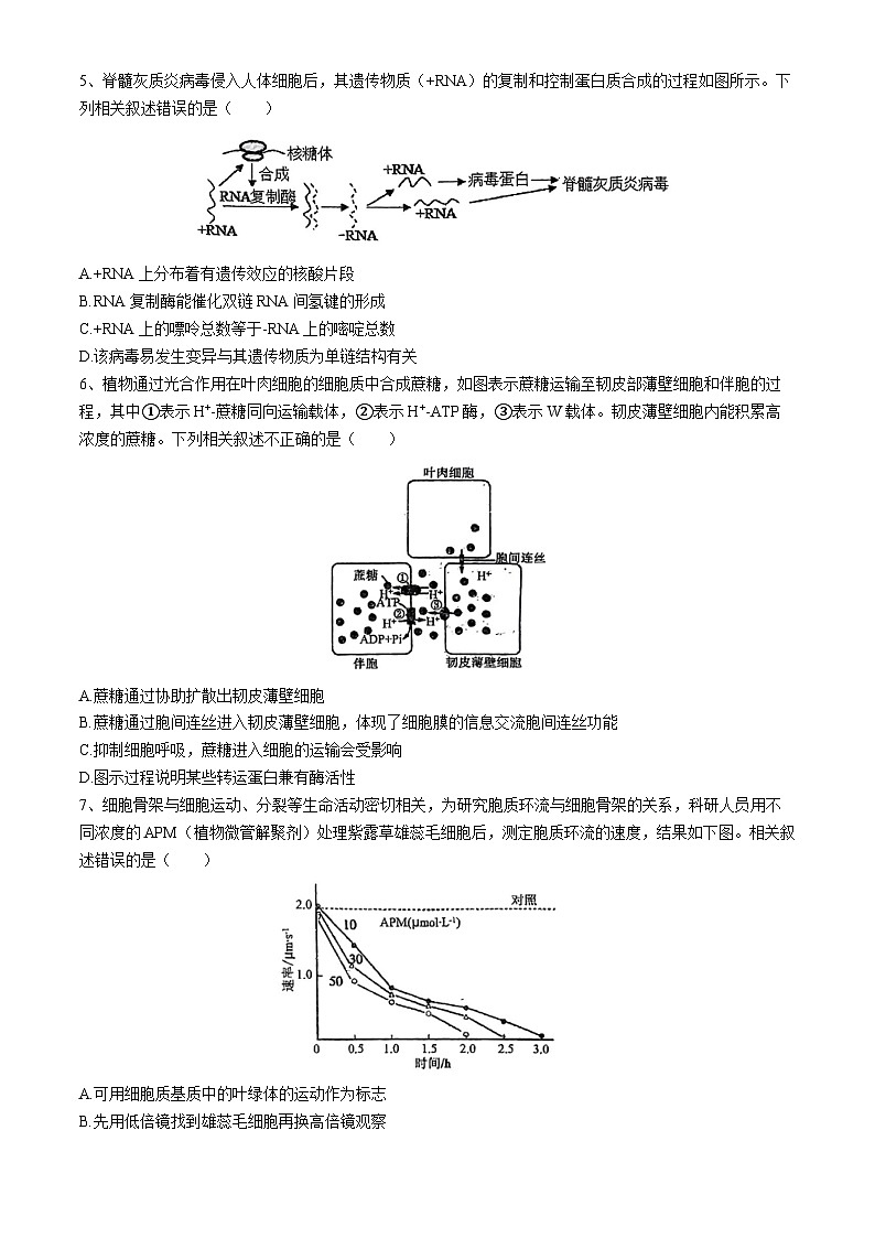 广东省揭阳市惠来县第一中学2024-2025学年高三上学期10月第二次阶段考试生物试题(无答案)第2页
