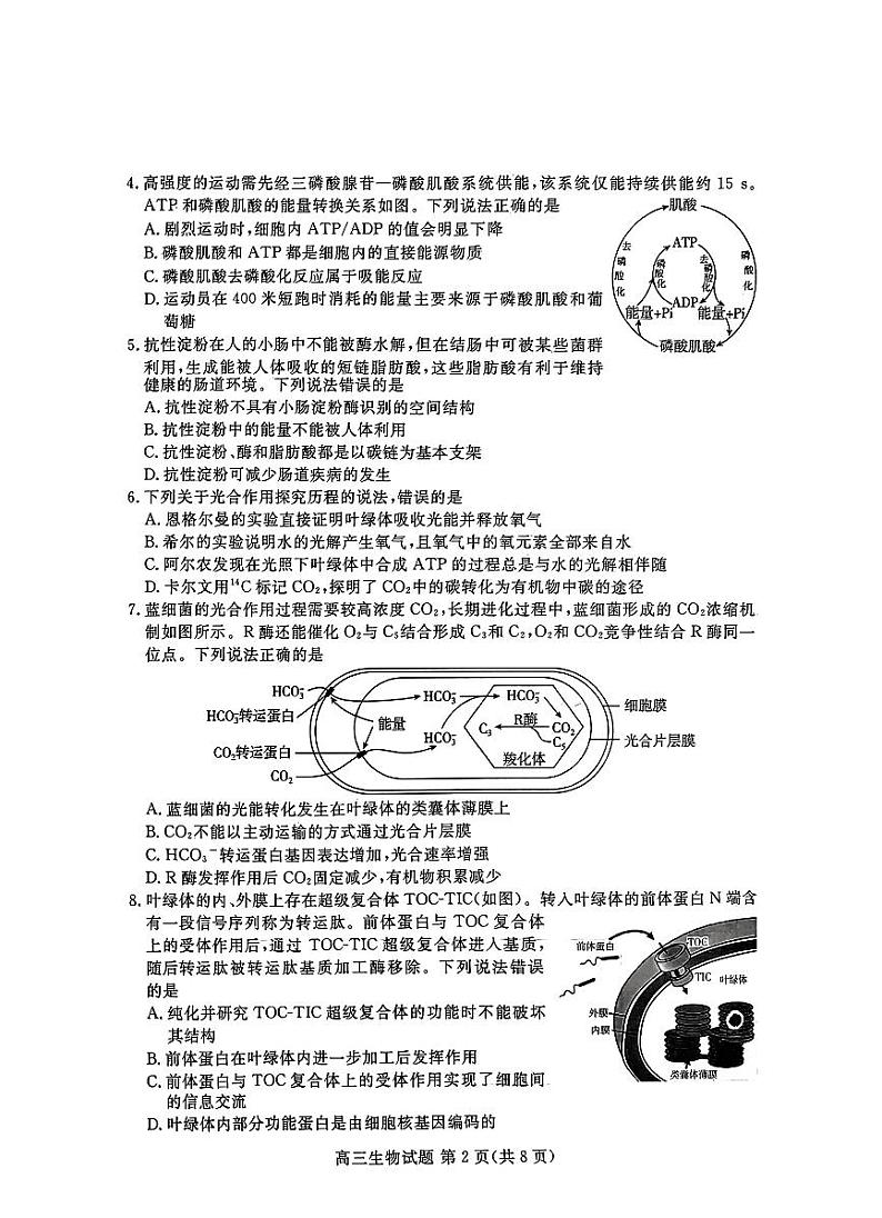 山东新高考联合质量测评10月联考高三生物试题第2页