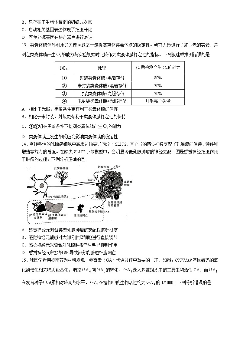 广东省稳派联考2024-2025学年高三上学期10月月考生物试题第3页