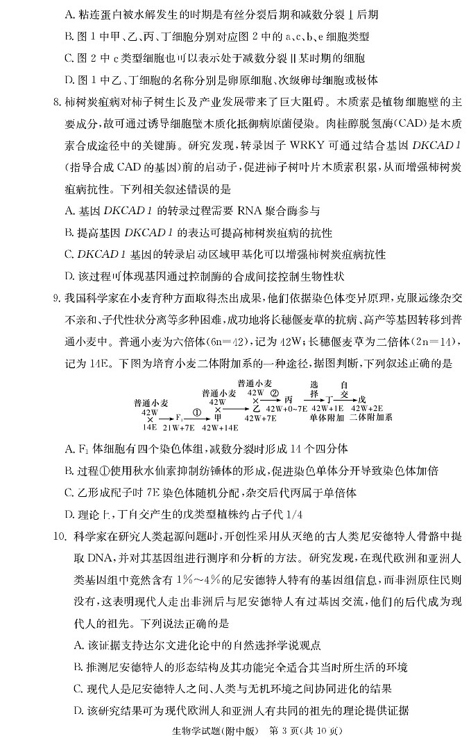 湖南省湖南师范大学附属中学2025届高三上学期月考(二)生物03