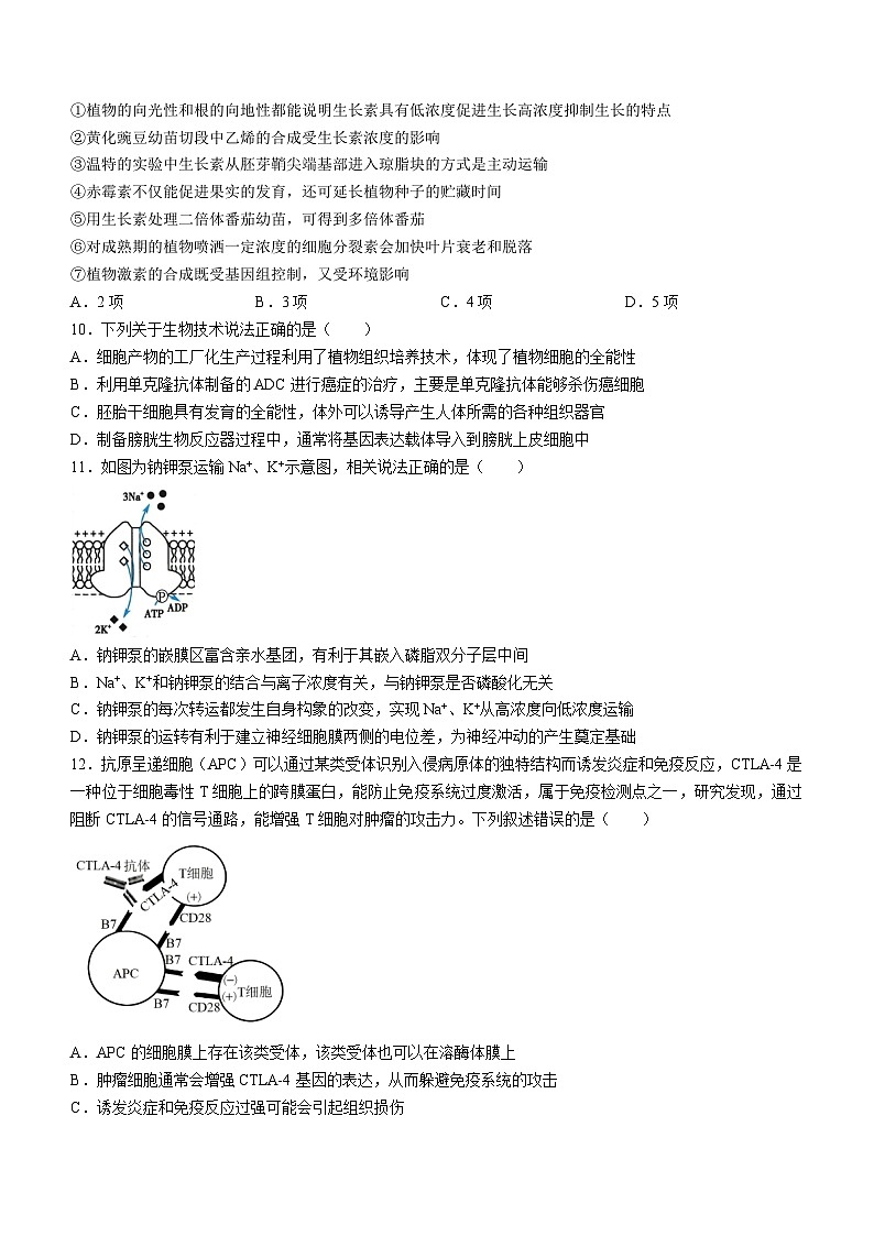 江浙皖高中(县中)发展共同体2024-2025学年高三上学期10月联考生物试卷(江皖卷)第3页