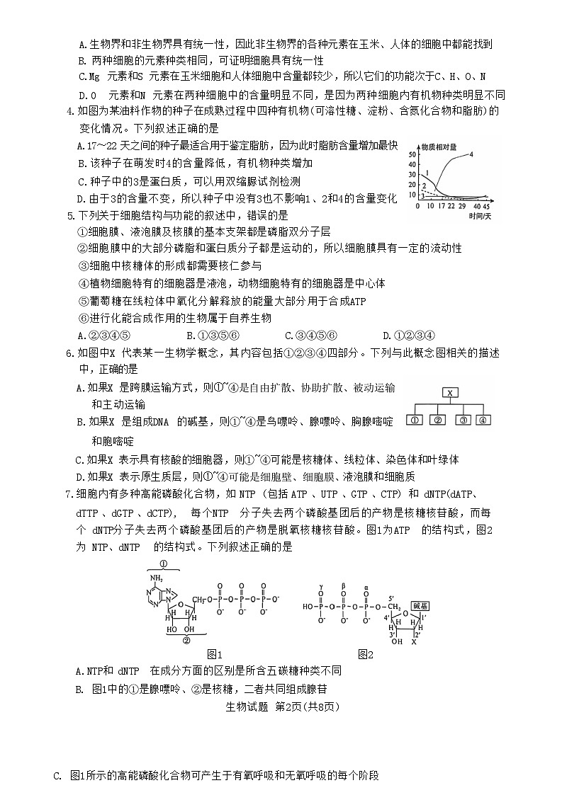 河南省部分名校2024-2025学年高三上学期10月联考生物试卷第2页