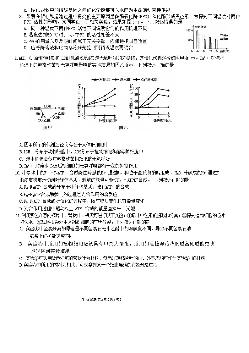河南省部分名校2024-2025学年高三上学期10月联考生物试卷第3页