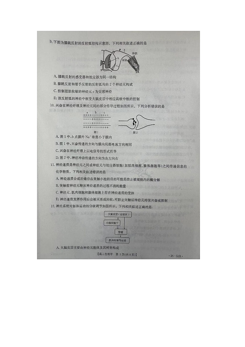 河北省邢台市2024-2025学年高二上学期第一次月考生物试题第3页