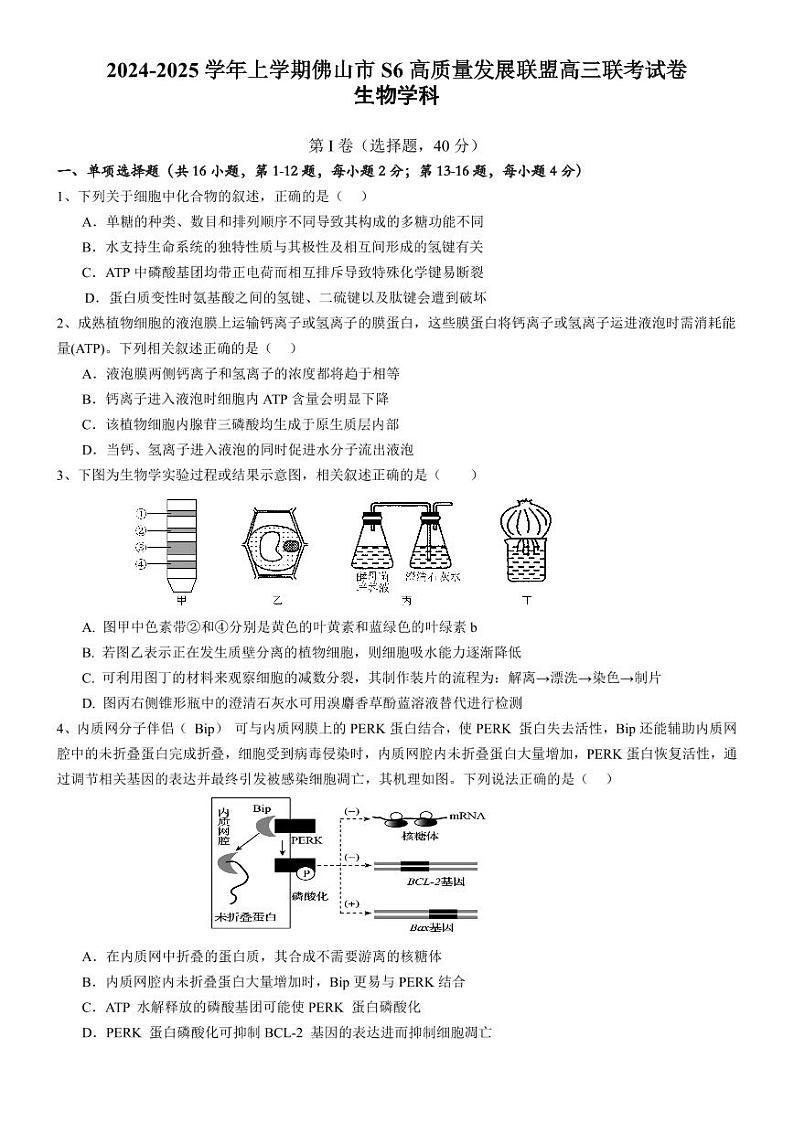 广东省佛山市2024-2025学年高三上学期9月联考生物试题+01