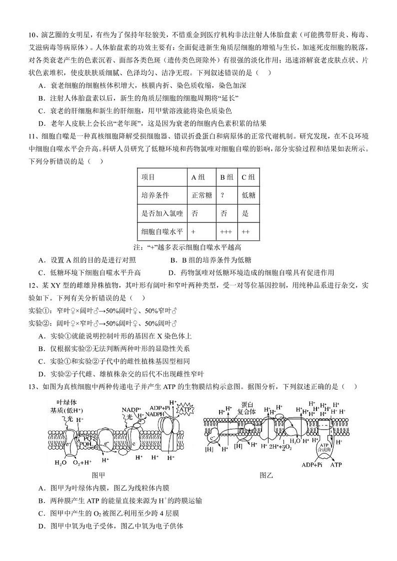 广东省佛山市2024-2025学年高三上学期9月联考生物试题+03