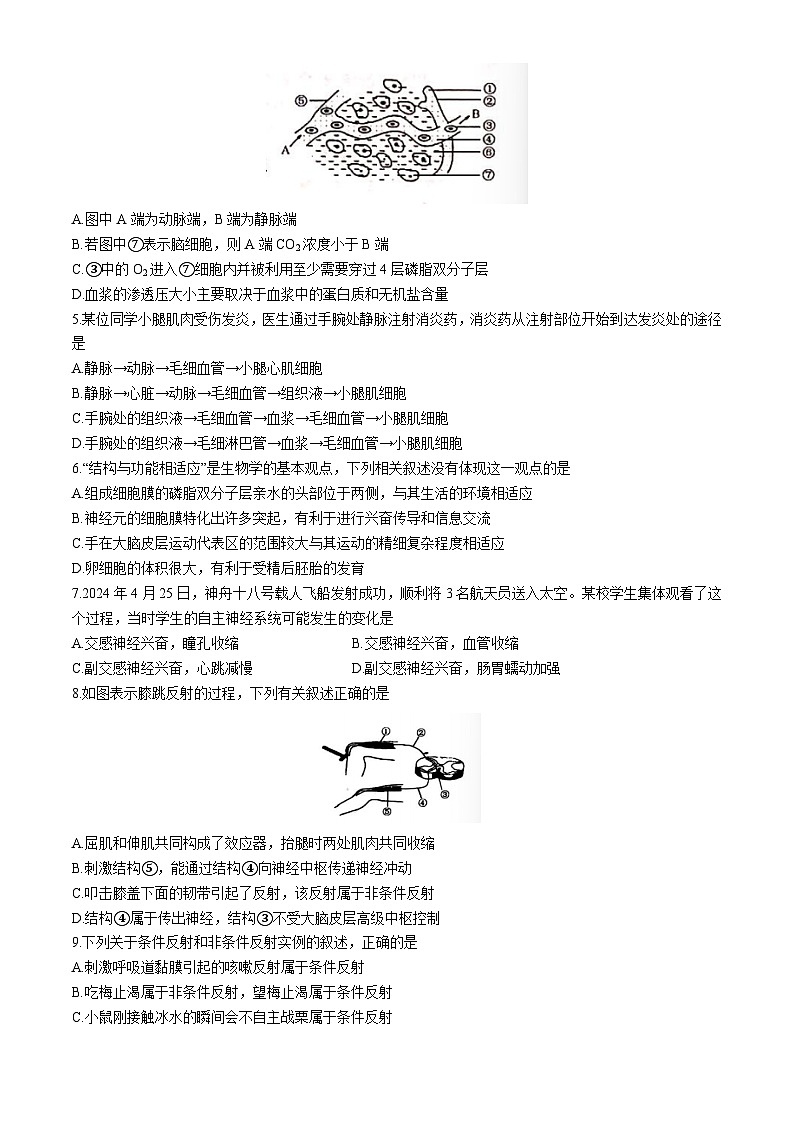 山西省部分学校2024-2025学年高二上学期10月月考生物试题第2页
