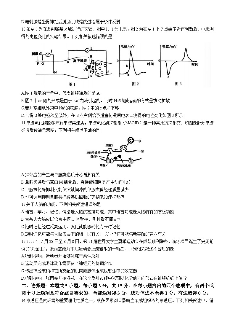 山西省部分学校2024-2025学年高二上学期10月月考生物试题第3页