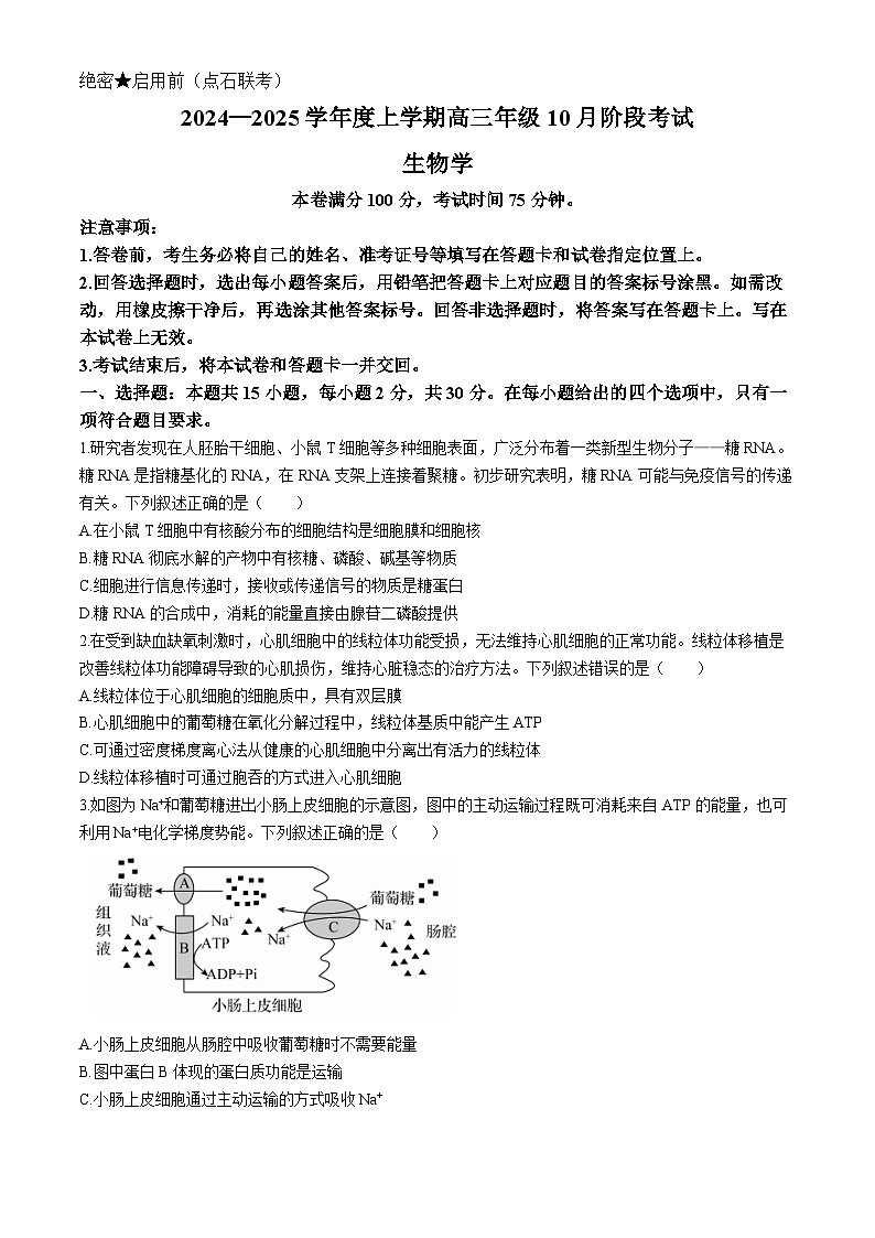 辽宁省部分学校2024-2025学年高三上学期10月阶段考试生物试题01