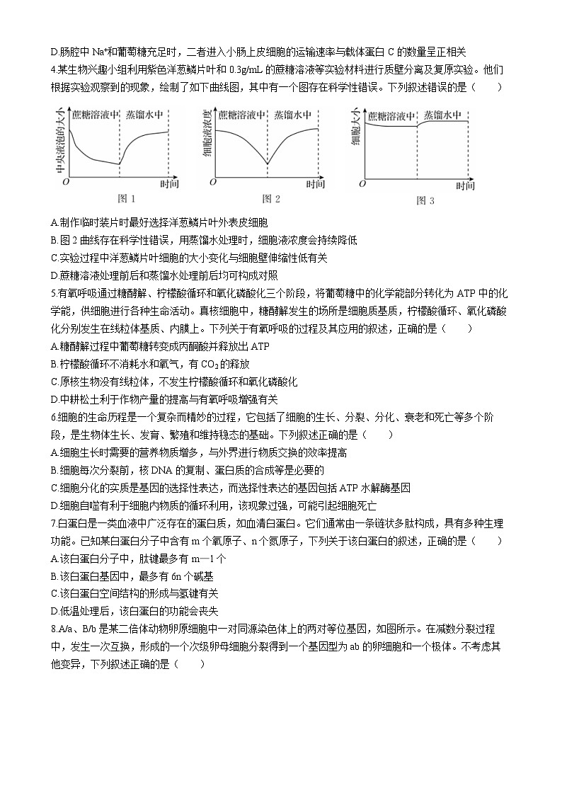 辽宁省部分学校2024-2025学年高三上学期10月阶段考试生物试题02