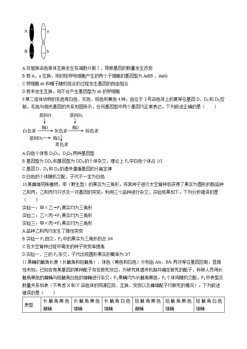 辽宁省部分学校2024-2025学年高三上学期10月阶段考试生物试题03