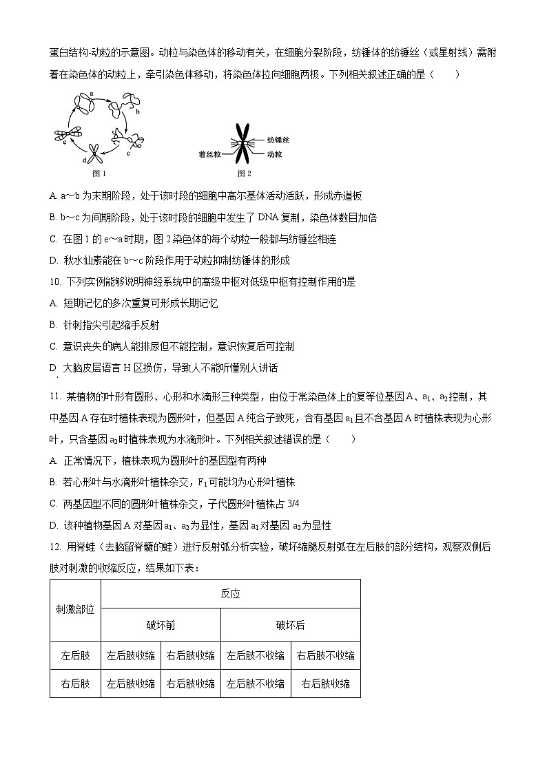 湖南省岳阳市临湘市2024-2025学年高一上学期9月月考生物试题 Word版无答案第3页