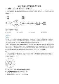 湖南省岳阳市临湘市2024-2025学年高二上学期9月月考生物试题(Word版附解析)