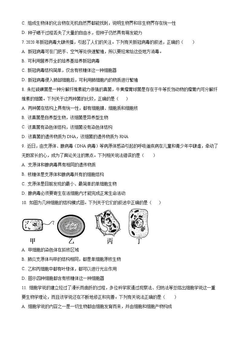河北省邯郸市武安市第一中学2024-2025学年高一上学期9月月考生物试题 Word版无答案第2页