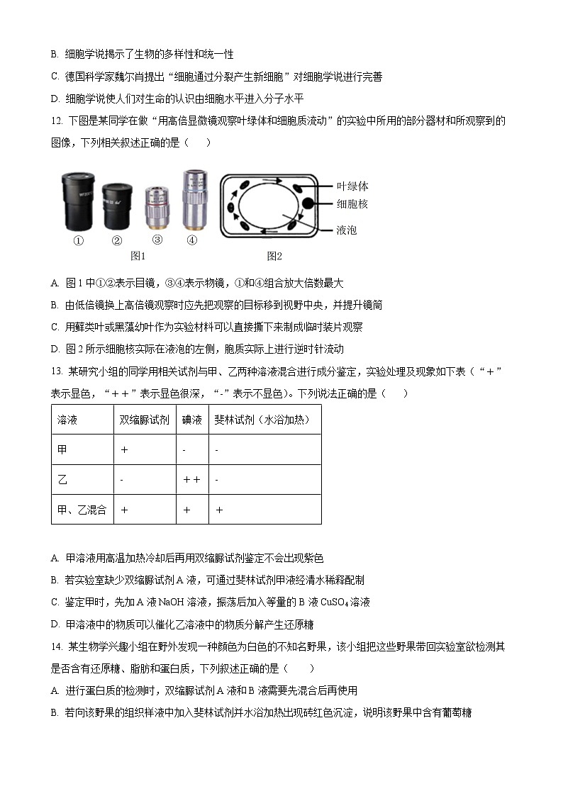 河北省邯郸市武安市第一中学2024-2025学年高一上学期9月月考生物试题 Word版无答案第3页