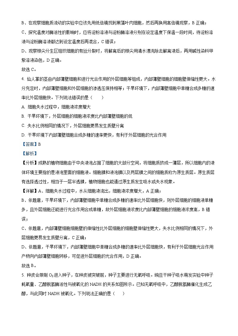 湖南省长沙市师大附中2025届高三上学期第二次月考生物试题(Word版附解析)03