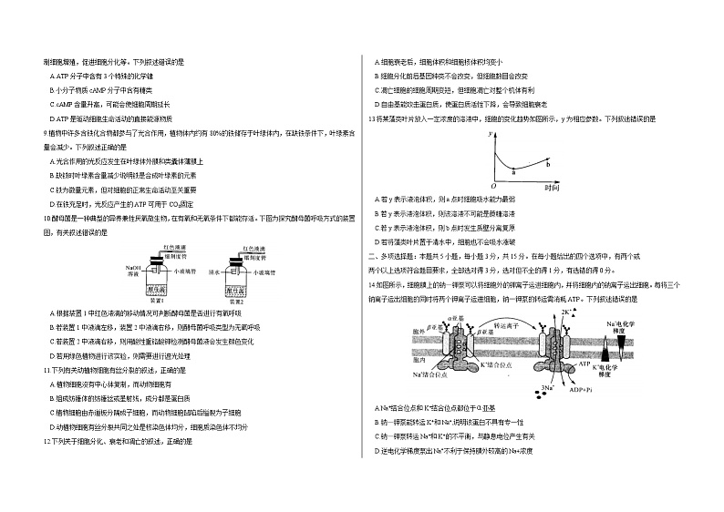 生物 已编辑第2页