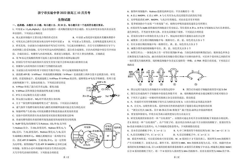 济宁市实验中学2025届高三第一学期10月月考生物试题第1页