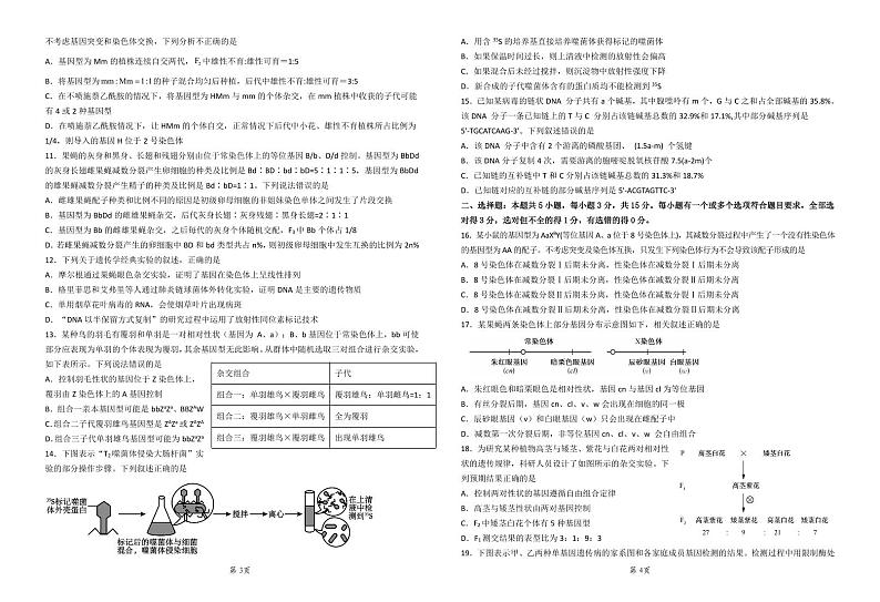 济宁市实验中学2025届高三第一学期10月月考生物试题第2页
