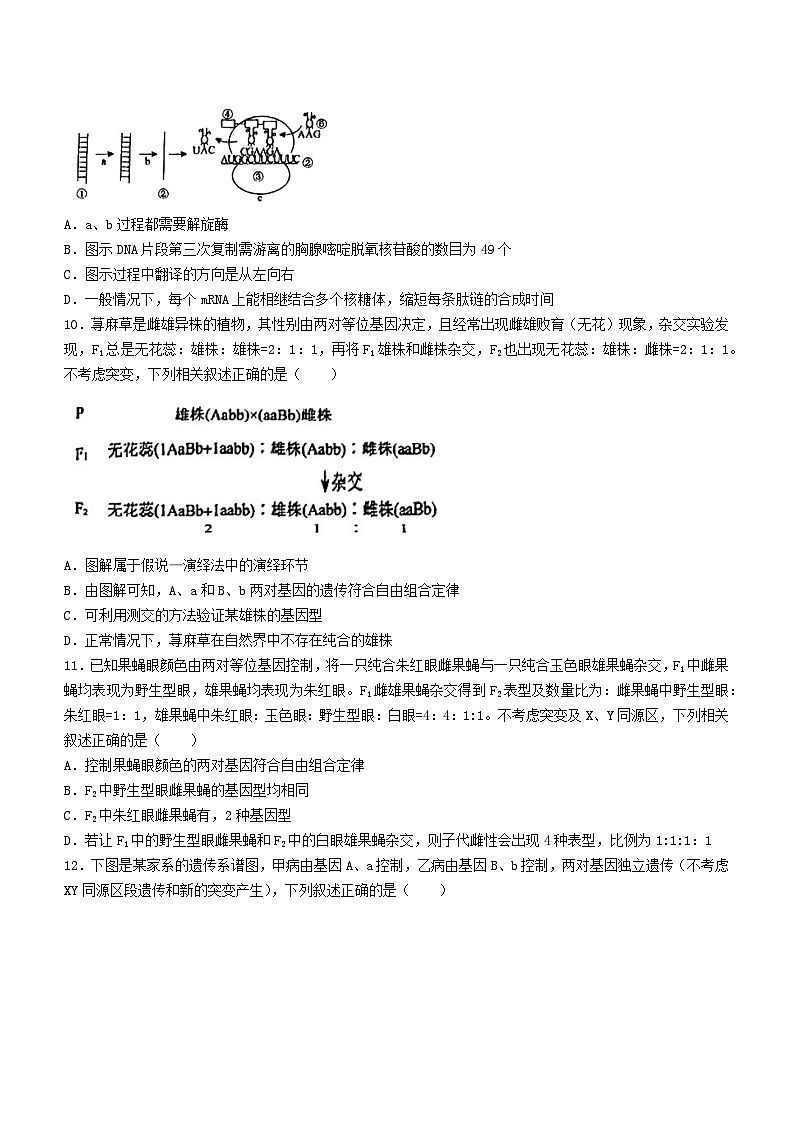 辽宁名校联盟2024-2025学年高三上学期10月联考生物试题(无答案)第3页