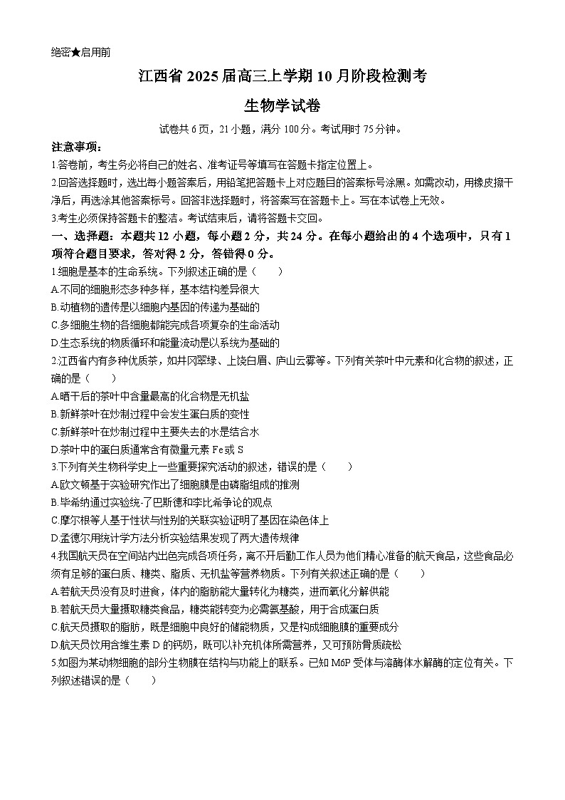 江西省2024-2025学年高三上学期10月联考生物试题(无答案)第1页