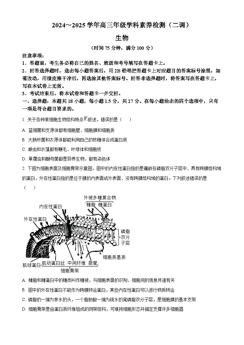 河北省衡水市2024-2025学年高三上学期9月第二次调研考试生物试题 Word版无答案第1页