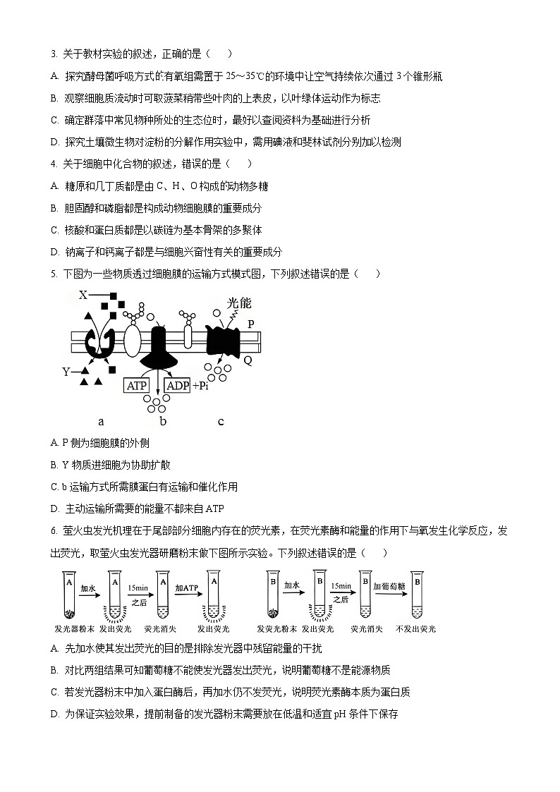 河北省衡水市2024-2025学年高三上学期9月第二次调研考试生物试题 Word版无答案第2页