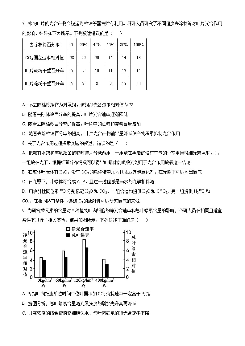 河北省衡水市2024-2025学年高三上学期9月第二次调研考试生物试题 Word版无答案第3页